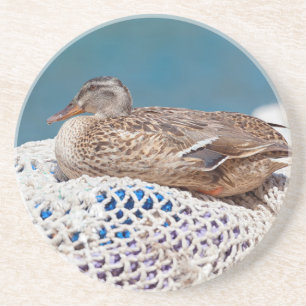 Resting Duck Coaster