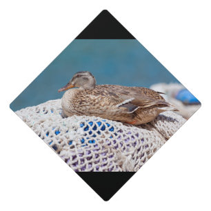 Resting Duck Graduation Cap Topper