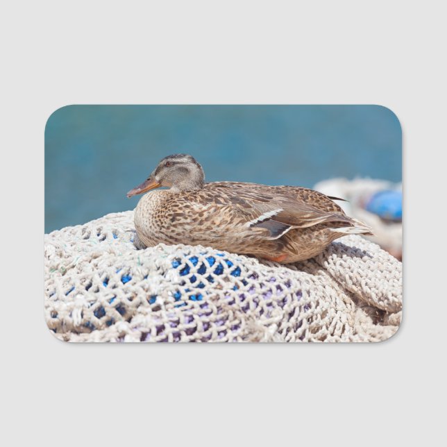 Resting Duck Name Tag (Front)