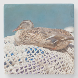 Resting Duck Stone Coaster