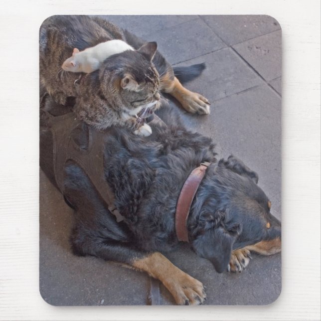 Resting Easy Mouse Pad (Front)