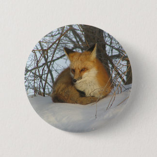 Resting Fox 2 Inch Round Button
