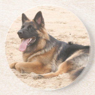 Resting German Shepherd Dog Coasters