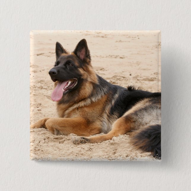 Resting German Shepherd Dog Square Pin (Front)