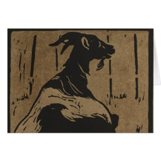 Resting Goat