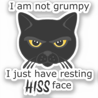 Resting Hiss Face Black Cat - Benefits PACR