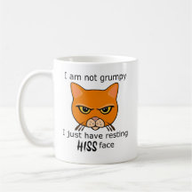Resting Hiss Face Orange Cat - Benefits PACR