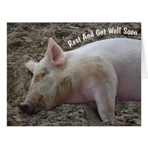 RESTING HOG/THE DAY YOU RETURN WE'LL BE IN HOG HEA