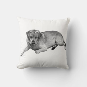 Resting Labrador – Cozy Charm Throw Pillow