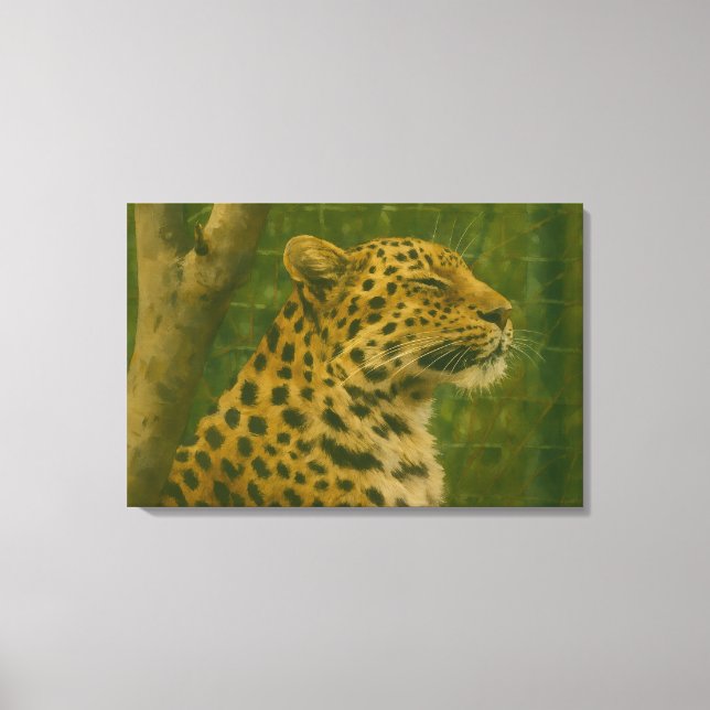Resting Leopard in Sanctuary Setting Canvas Print (Front)