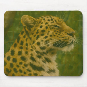 Resting Leopard in Sanctuary Setting Mouse Pad