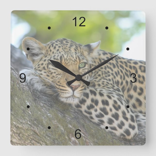 Resting Leopard Square Wall Clock (Front)