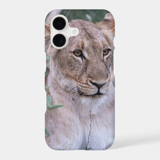 Resting Lioness in African Wilderness