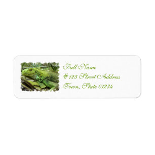 Resting Lizard Address Labels