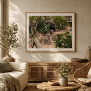 Resting Meerkats in Natural Habitat Wildlife Poster