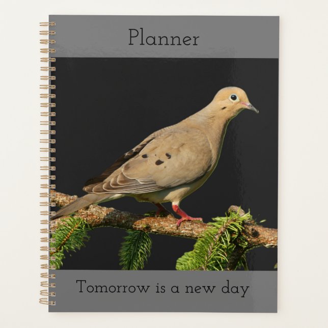 Resting Mourning Dove Planner (Front)