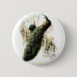 Resting Peacocks 2 Inch Round Button