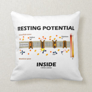 Resting Potential Inside (Sodium-Potassium Pump) Throw Pillow
