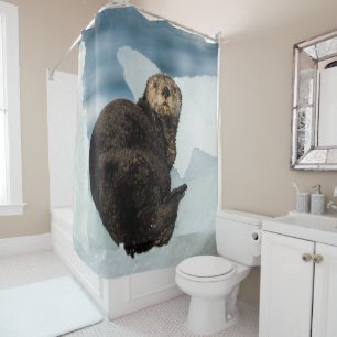 Resting Sea Otter
