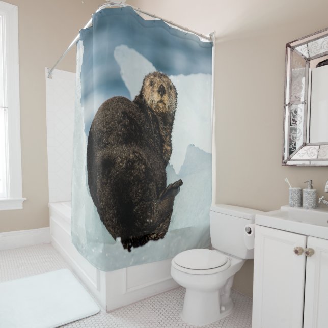Resting Sea Otter (In Situ)