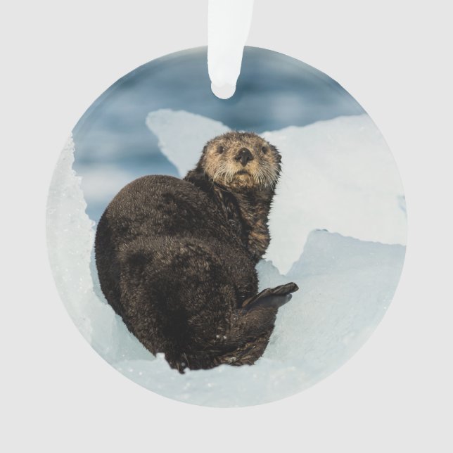 Resting Sea Otter Ornament (Front)