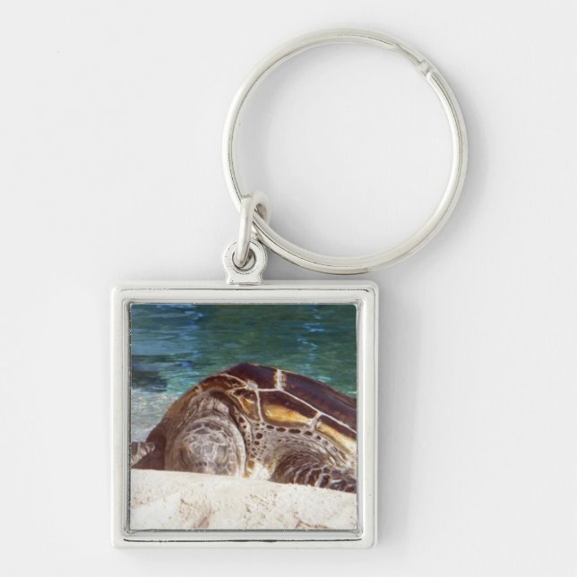 Resting Sea Turtle Keychain (Front)