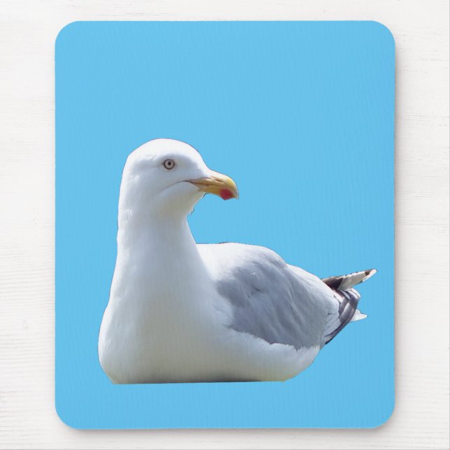 Resting Seagull Coastal Ocean Bird Nature Desk  Mouse Pad (Front)