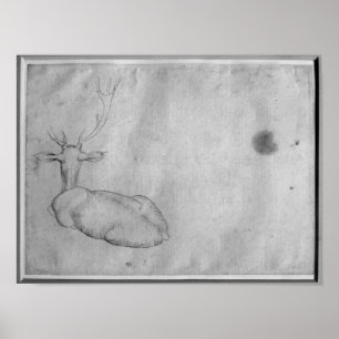 Resting stag poster
