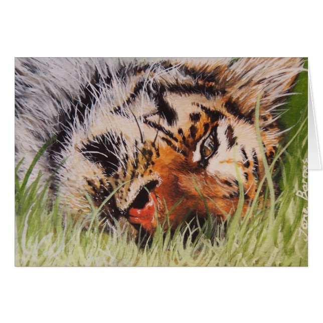 Resting Tiger (Front Horizontal)