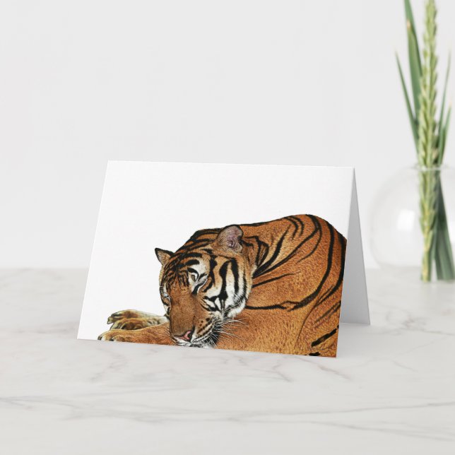 Resting Tiger Card (Front)