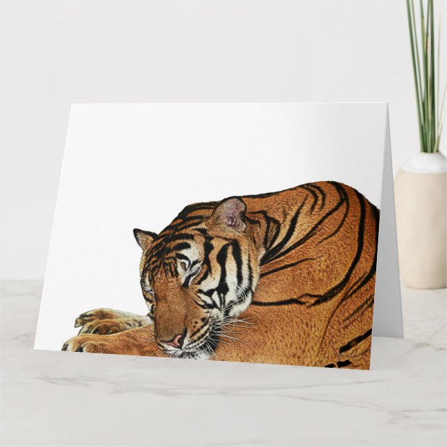 Resting Tiger Card (Front)