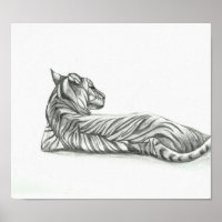 Resting Tiger Drawing