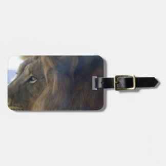 resting tiger luggage tag