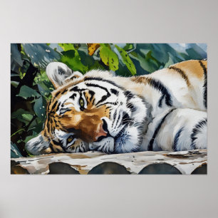 Resting Tiger Portrait Poster