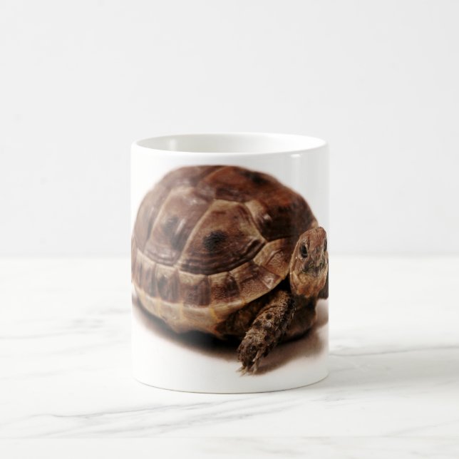 Resting Tortoise Coffee Mug (Center)