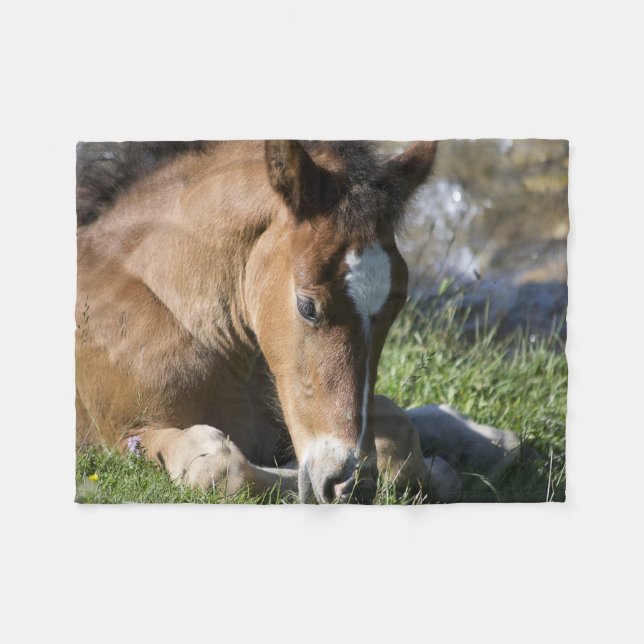 Resting Wild Pony Fleece Blanket (Front (Horizontal))