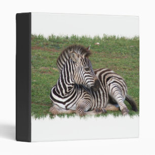 Resting Zebra Binder