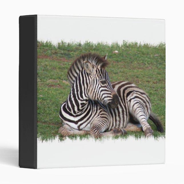 Resting Zebra Binder (Front/Spine)