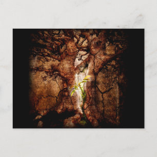 Restore the Desolate Years Postcard