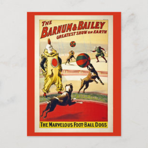 Restored, Barnum and Bailey, dogs, football Postcard