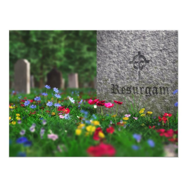 Resurgam Photo Print (Front)
