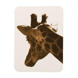 Reticulate Giraffe profile Magnet
