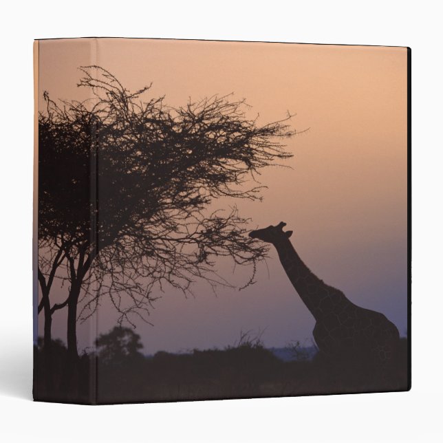 Reticulated Giraffe 2 Binder (Front/Spine)