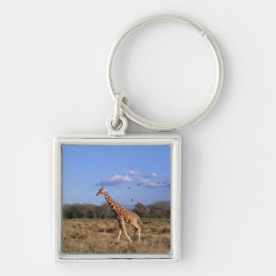 Reticulated Giraffe 2 Keychain