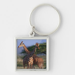 Reticulated Giraffe 2 Keychain