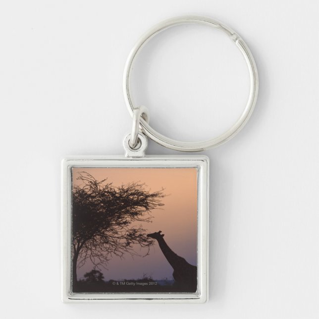 Reticulated Giraffe 2 Keychain (Front)