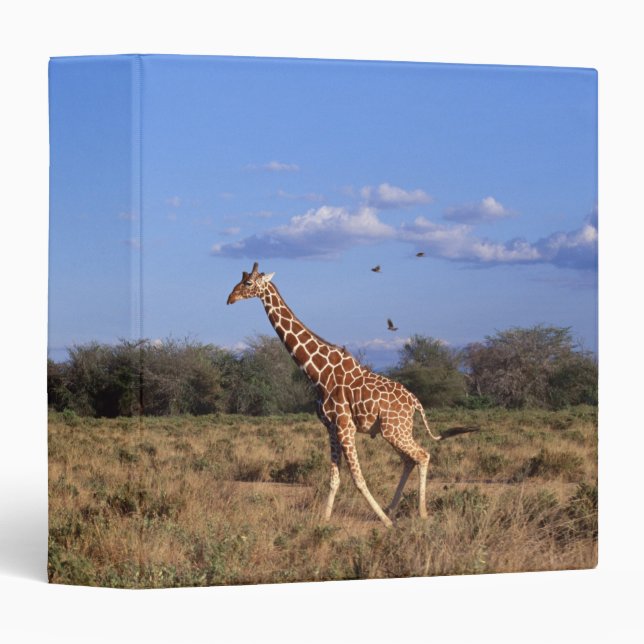 Reticulated Giraffe Binder (Front/Spine)