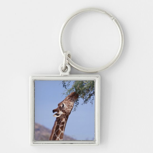 Reticulated Giraffe Keychain (Front)