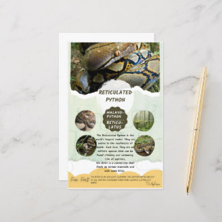 Reticulated Python Care Sheet