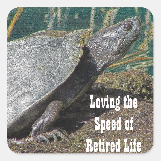 Retired Humour Basking Turtle Photo Lake Animal Square Sticker (Front)